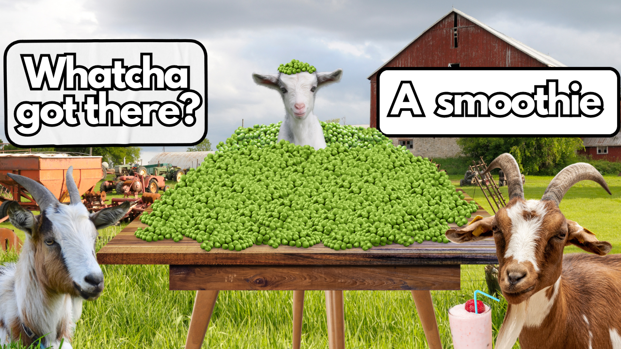 What Are All Those Peas For Anyway? | WAG in Focus 06/14/24