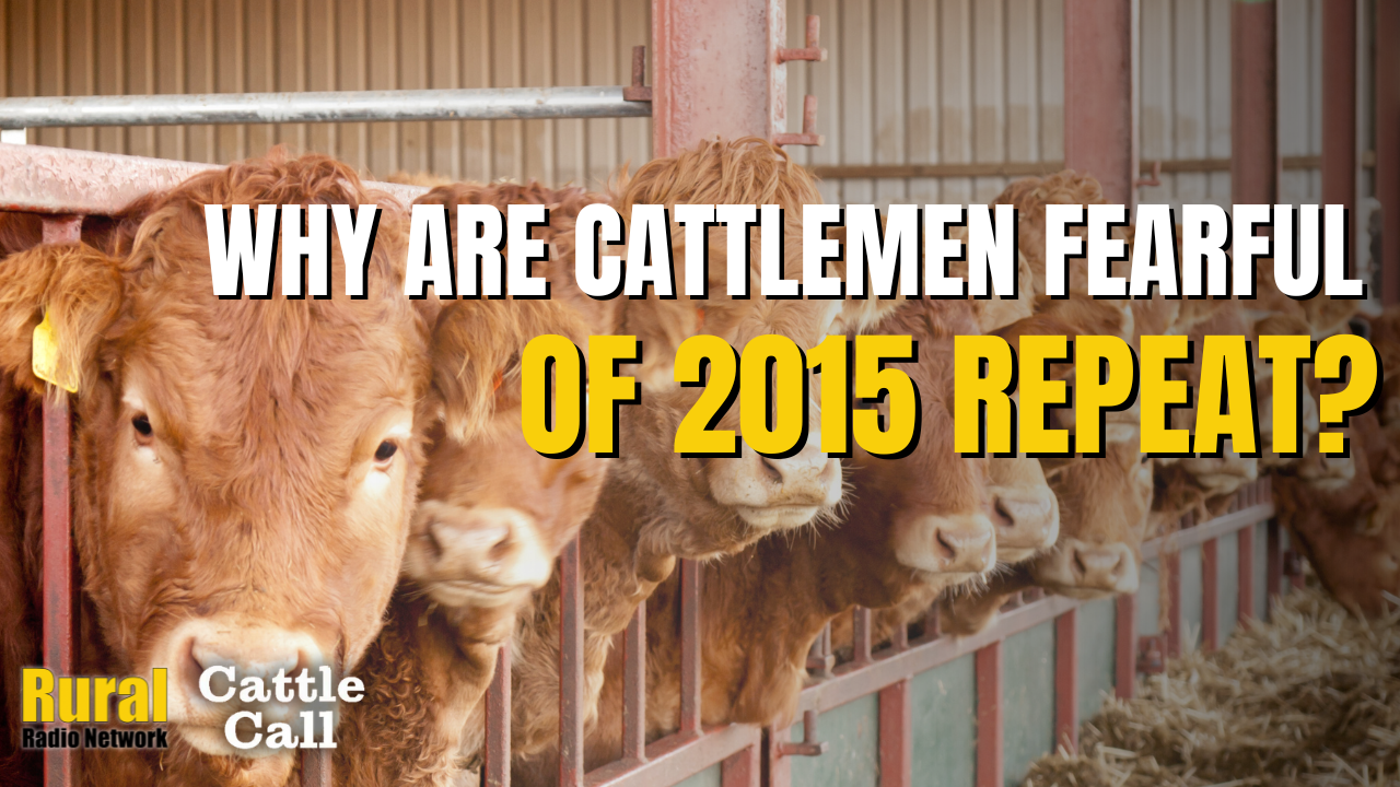 Cattlemen’s Turn To Make Some Money | Cattle Call