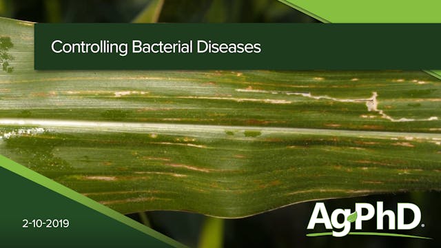 Controlling Bacterial Diseases | Ag PhD