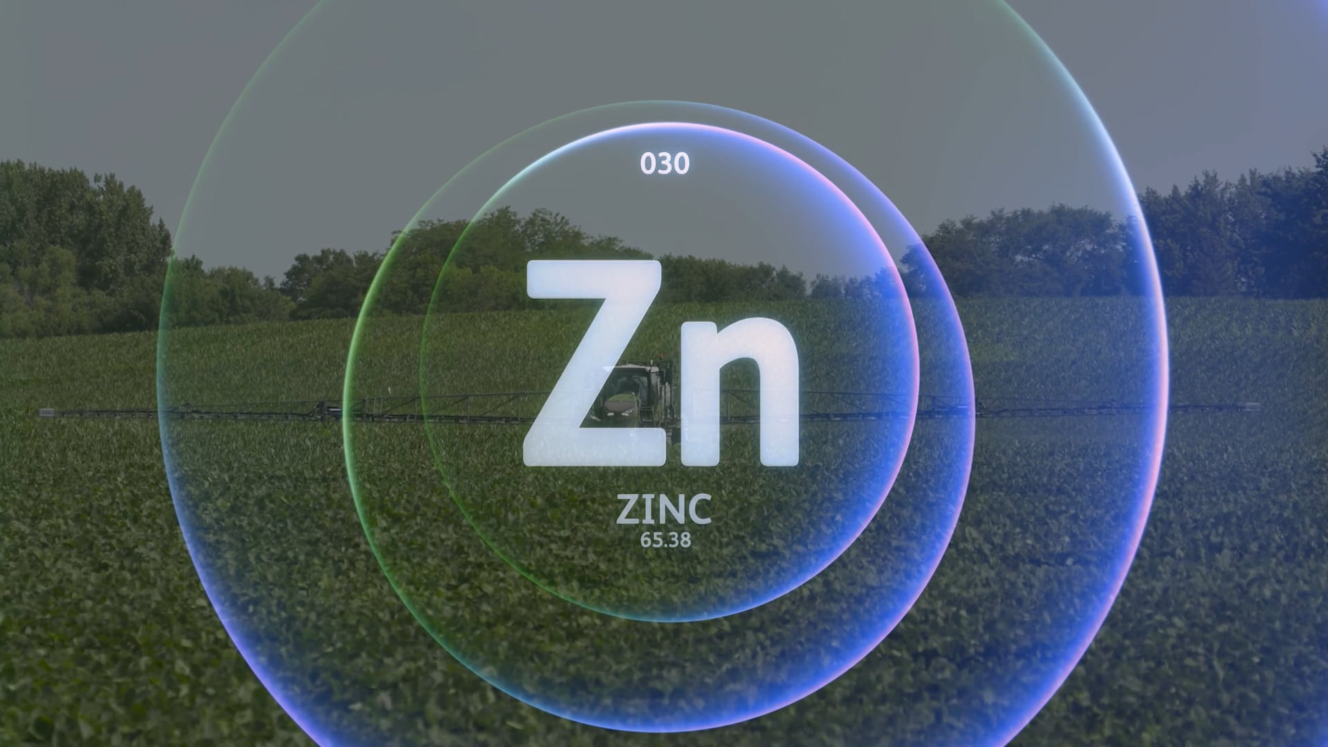 Zinc Deficiency | AgroLiquid NS
