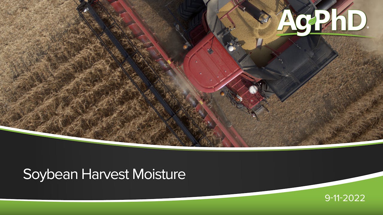 Soybean Harvest Moisture 2022 AcresTV