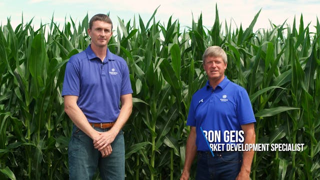 Enlist Corn Herbicide Platform | Corteva