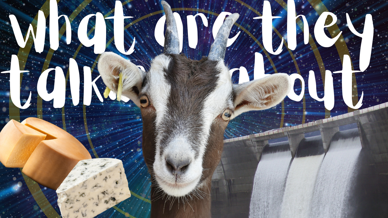 How’s the Dam Situation? | WAG in Focus 09/23/24