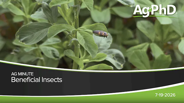 Beneficial Insects | Ag PhD
