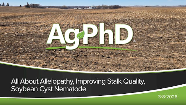 All About Allelopathy, Improving Stal...