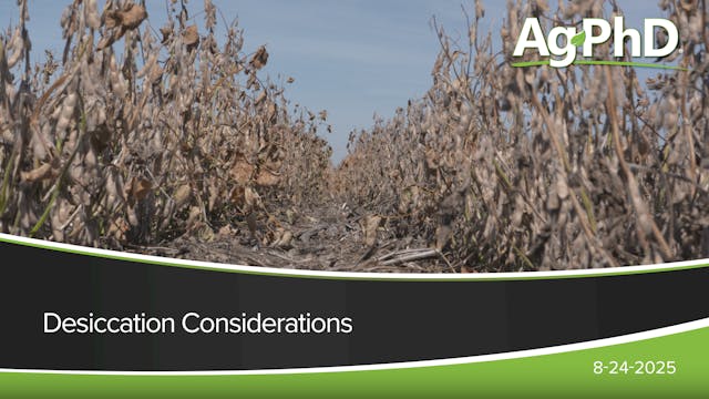 Desiccation Considerations | Ag PhD