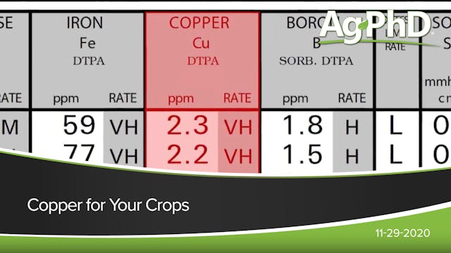 Copper for Your Crops | Ag PhD