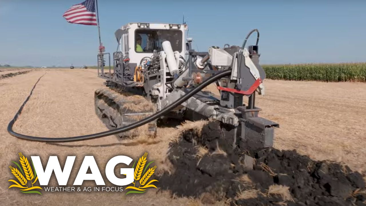 Where in the World is Weather & Ag? WAG In Focus 7/31/23