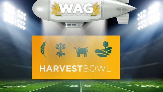 Harvest Bowl for North Dakota | WAG I...