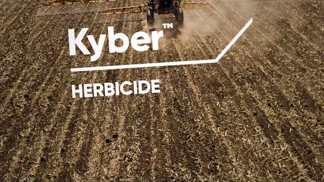Kyber Herbicide - Proof in the Fields