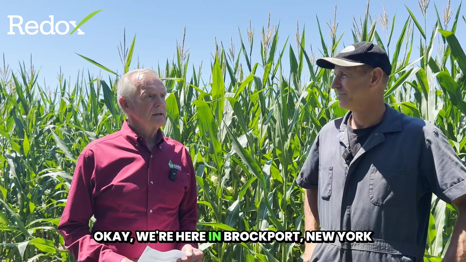 McCracken Acres Soybean Success with Redox and Ag BioTech | Redox