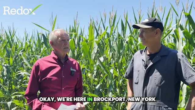 McCracken Acres Soybean Success with ...