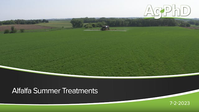 Alfalfa Summer Treatments | Ag PhD