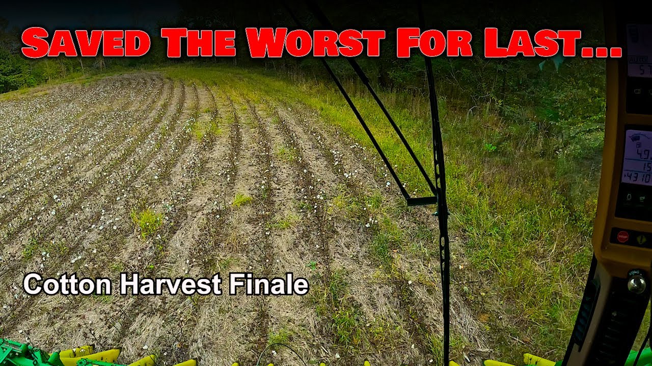 Want to See What a Broken Man Looks Like?? Cotton Harvest Finale | Griggs Farms