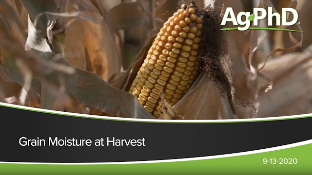 Grain Moisture At Harvest | Ag PhD