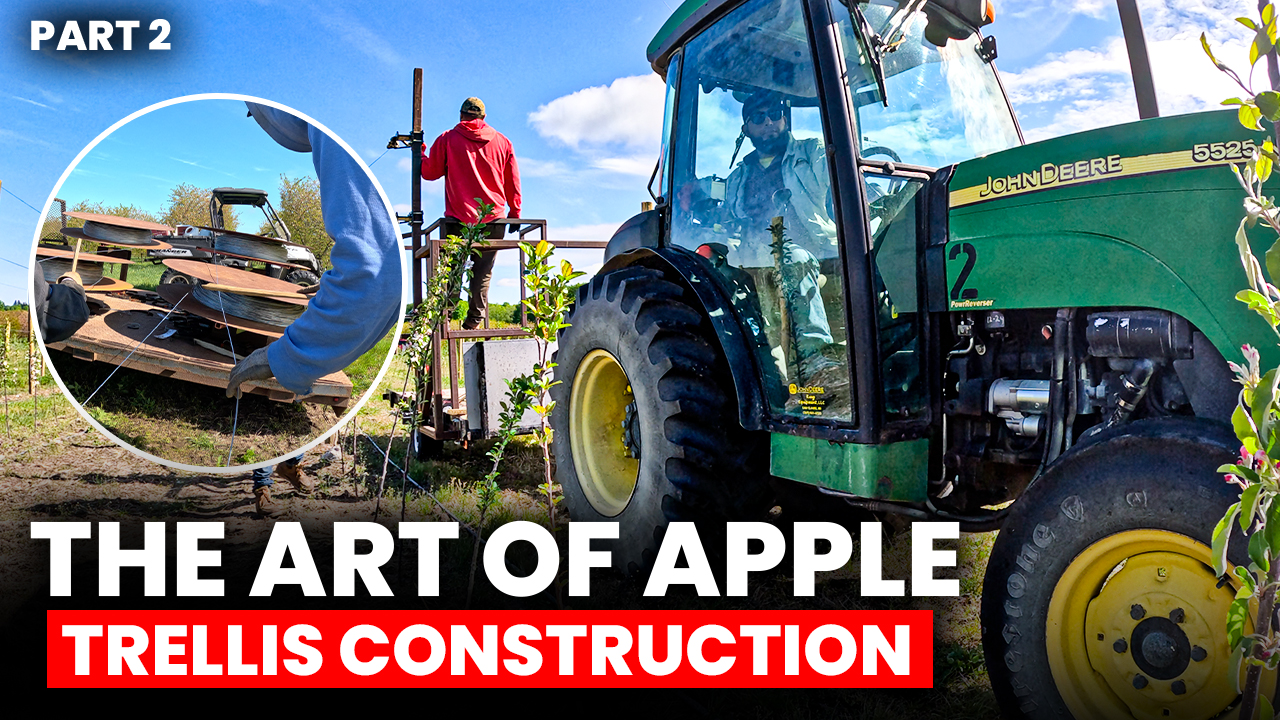 The Art of Apple Trellis Construction - Part 2 | Pomes and Stones 