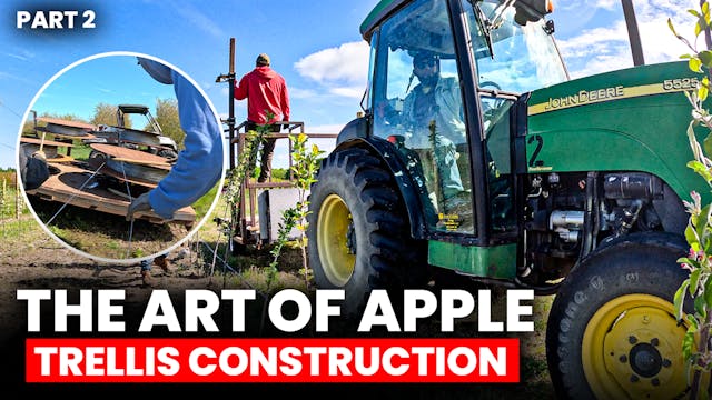 The Art of Apple Trellis Construction...