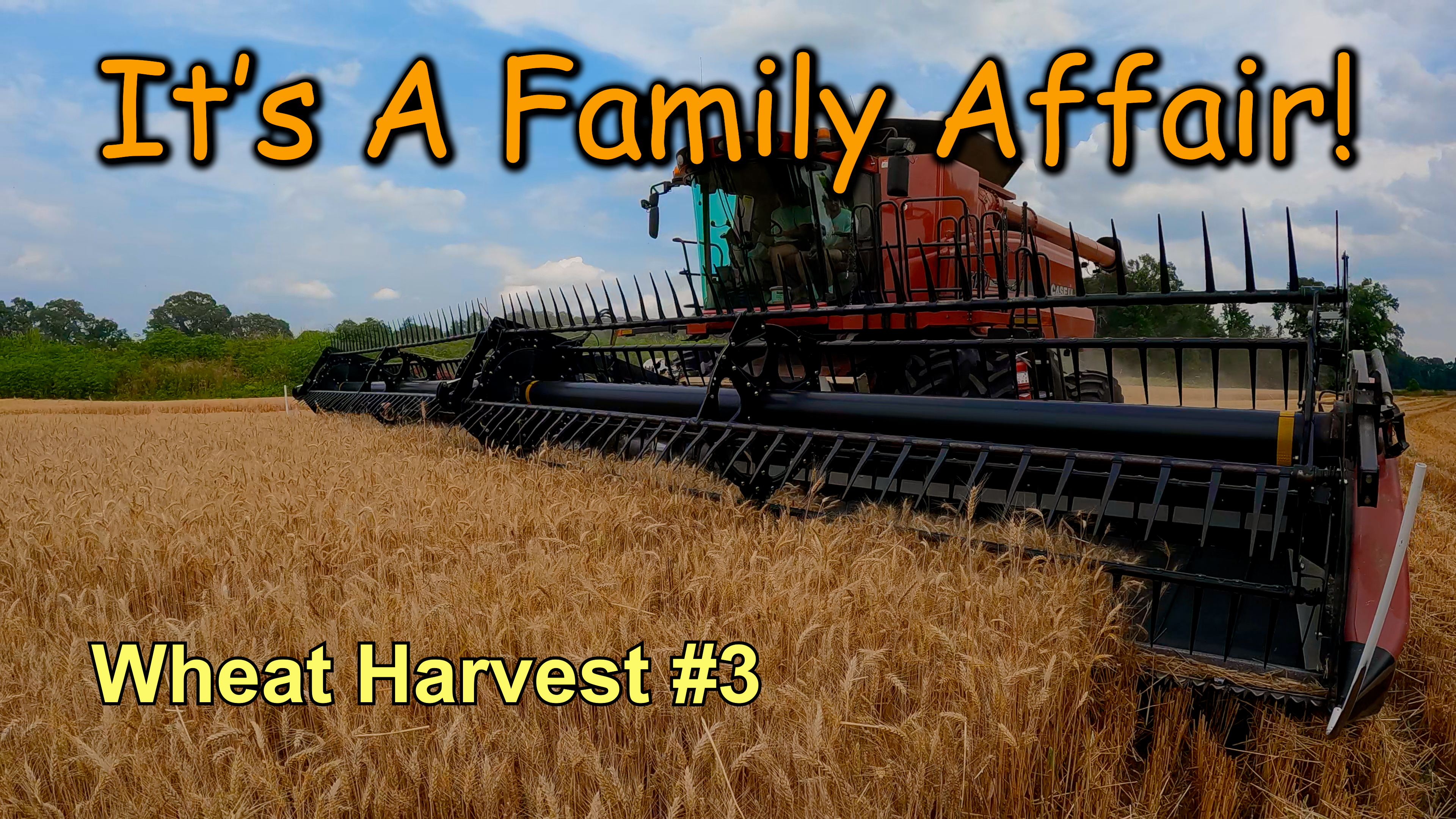It's A Family Affair!!!  Wheat Harvest #3 | Griggs Farms