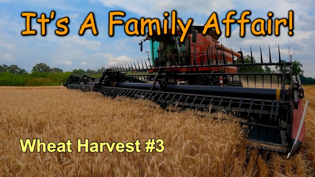 It's A Family Affair!!!  Wheat Harvest #3 | Griggs Farms