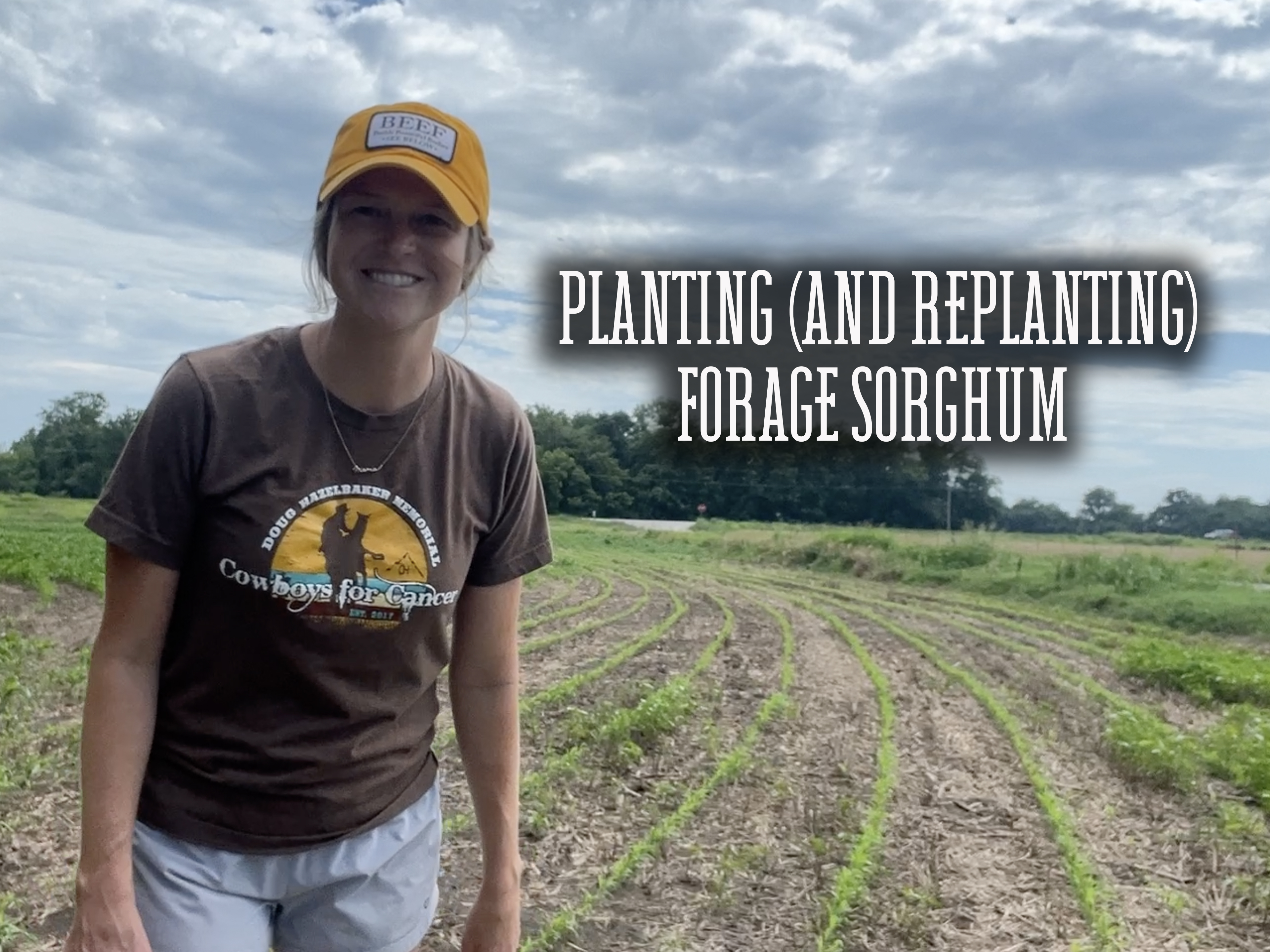 Planting (and Replanting) Forage Sorghum | Buzzard's Beat