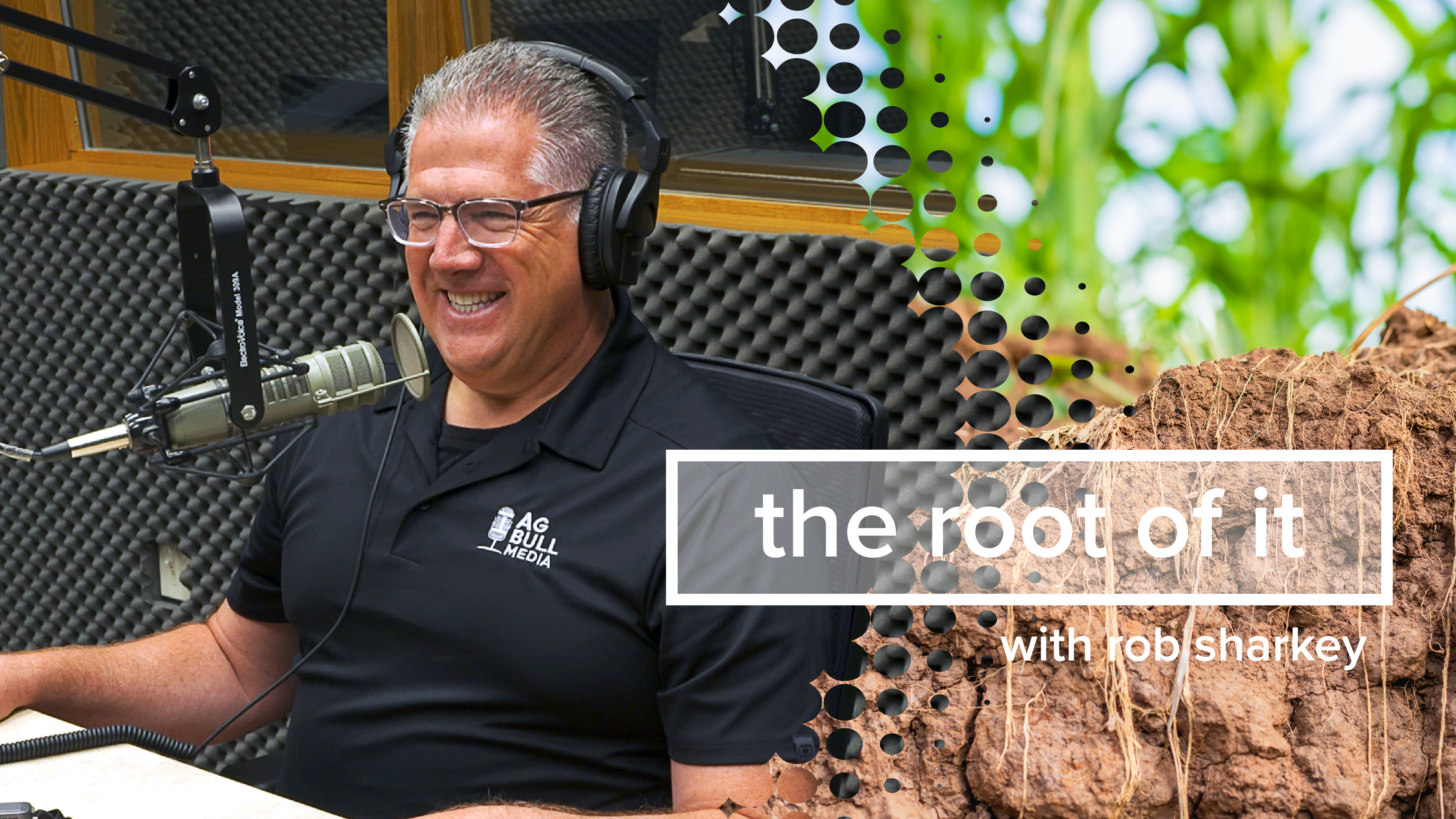 Tommy Grisafi | The Root of It