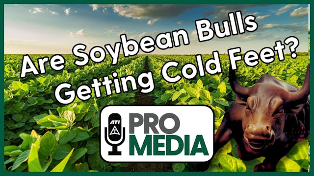 Are Soybean Bulls Getting Cold Feet? ...