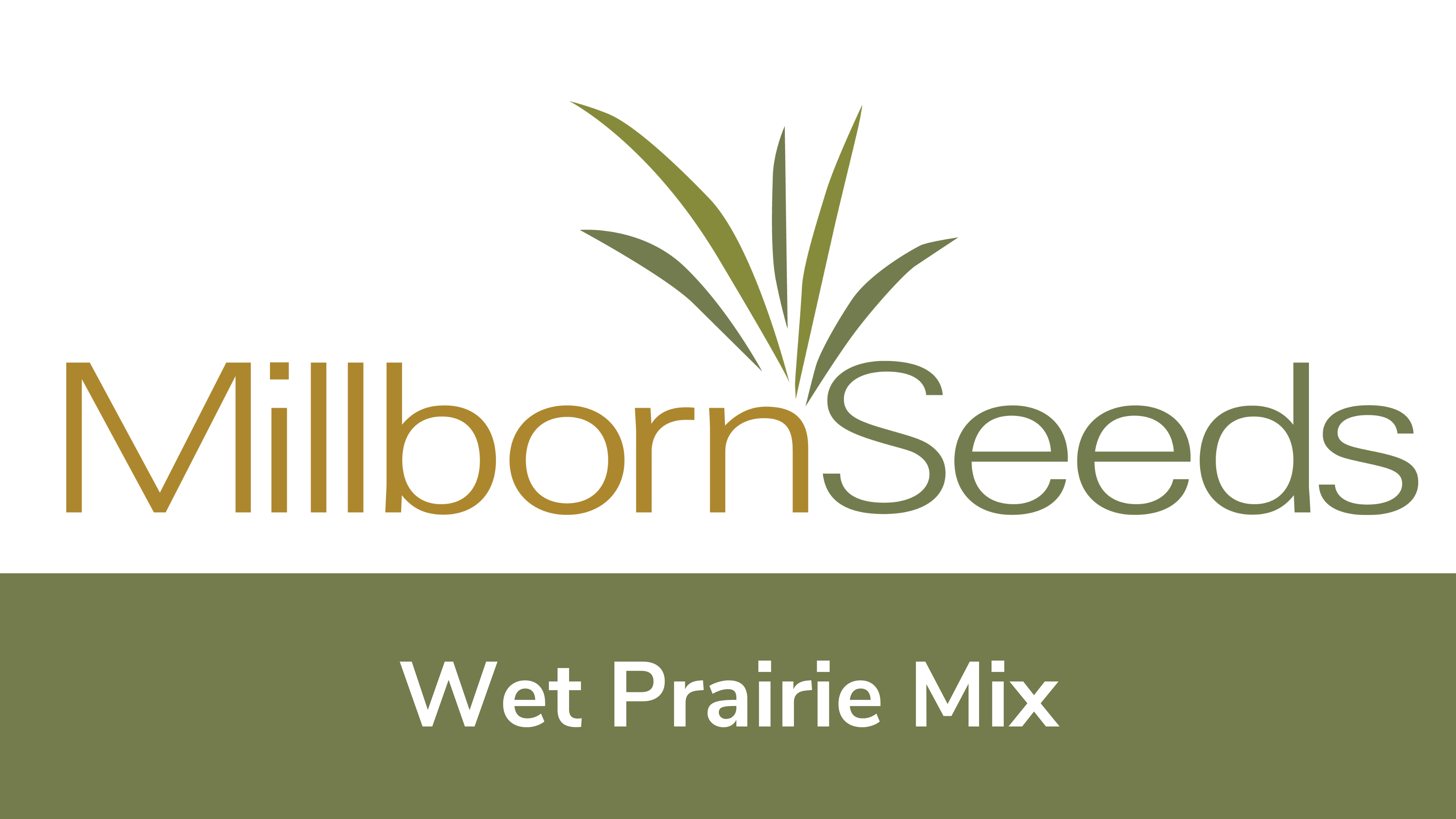 Millborn Seeds - Wet Prairie Mix