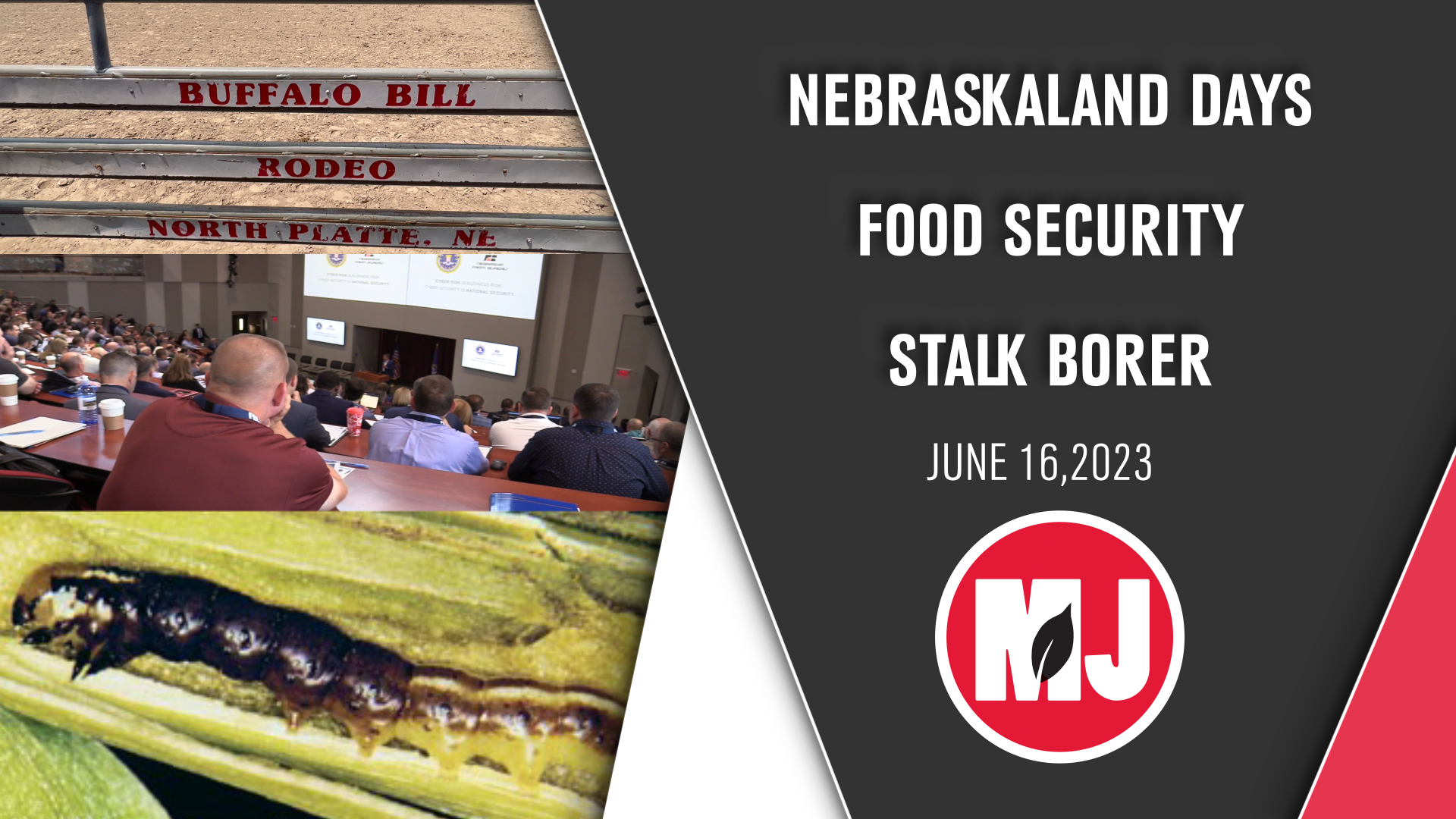 June 16, 2023 | Market Journal