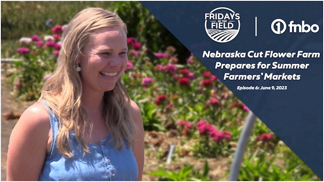 Flower Farm Prepares for Summer Farmers' Markets | Fridays in the Field