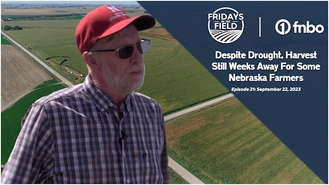 Nebraska farmer still weeks away from soybean harvest | Fridays in the Field