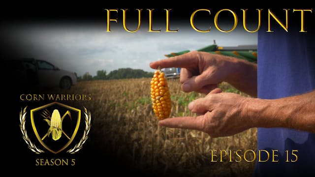 Corn Warriors | 515 | Full Count