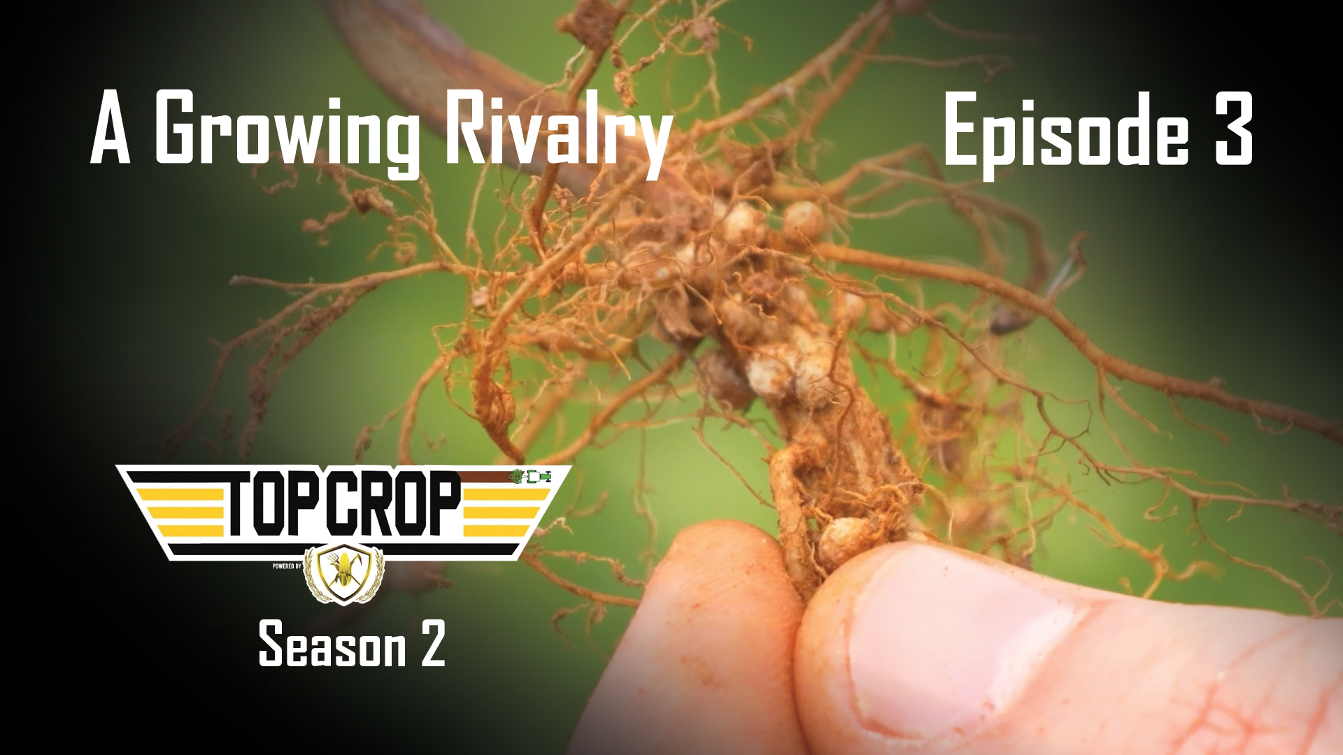 A Growing Rivalry | Episode 3 | Top Crop