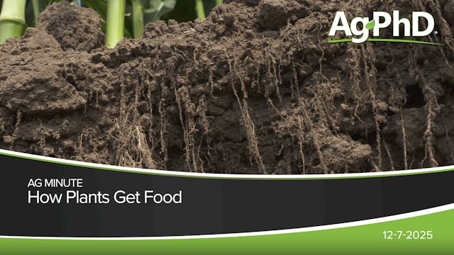 How Plants Get Food | Ag PhD
