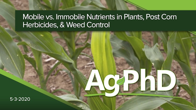  Nutrient Movement in Plants, Post Corn Herbicides & Weed Control | Ag PhD