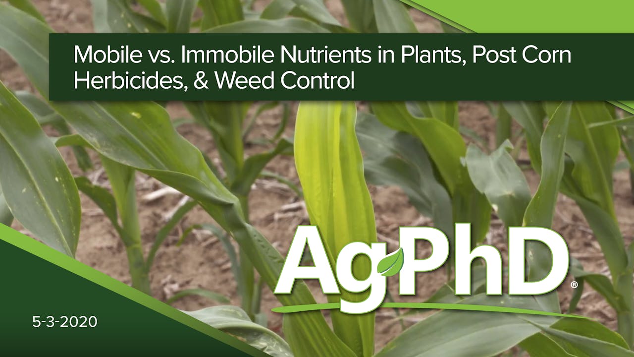 Nutrient Movement in Plants, Post Corn Herbicides & Weed Control Ag