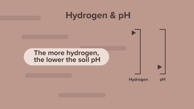 Sodium & Hydrogen