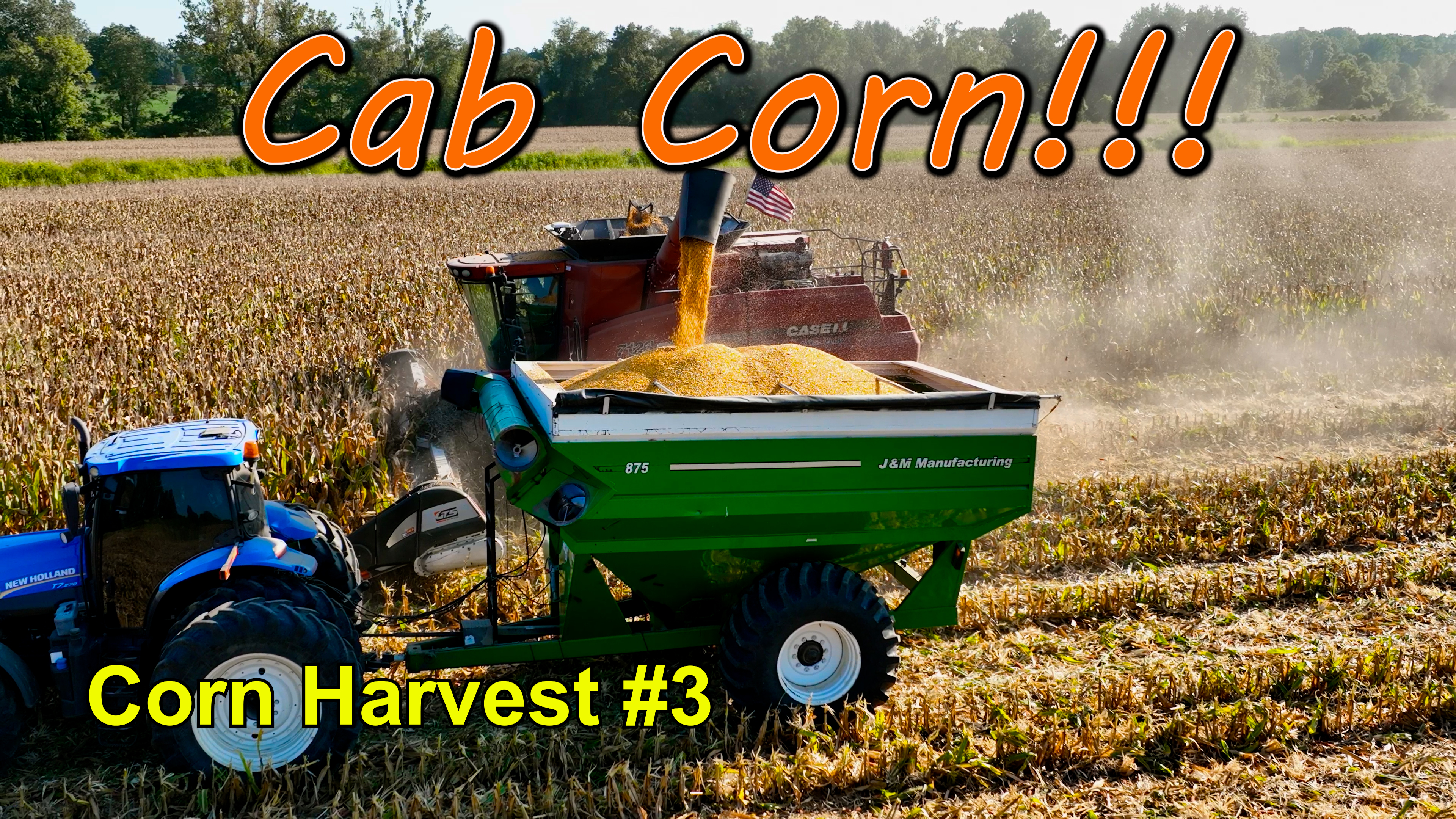 We Have Cab Corn!!! Corn Harvest #3 | Griggs Farms