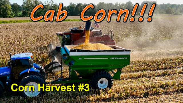 We Have Cab Corn!!! Corn Harvest #3 |...