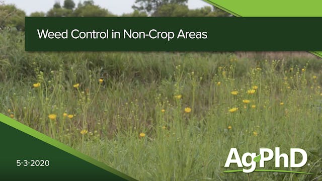 Weed Control in Non-Crop Areas | Ag PhD