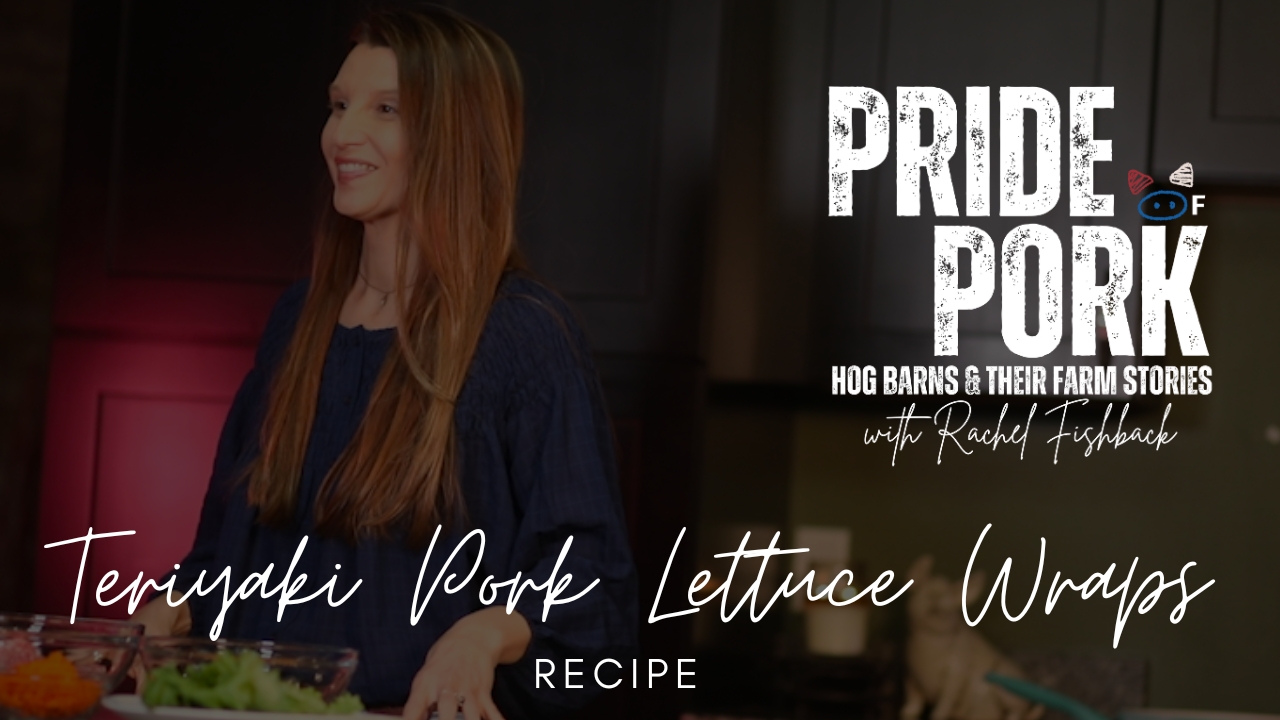 Pork Teriyaki Lettuce Wraps | Pride Of Pork