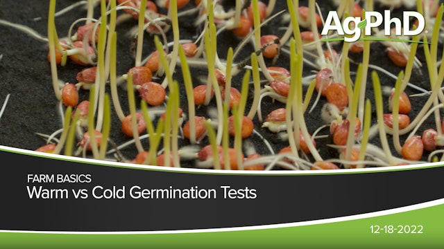 Warm vs Cold Germination Tests