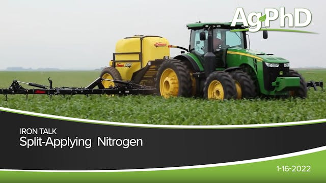 Split-Applying Nitrogen | Ag PhD