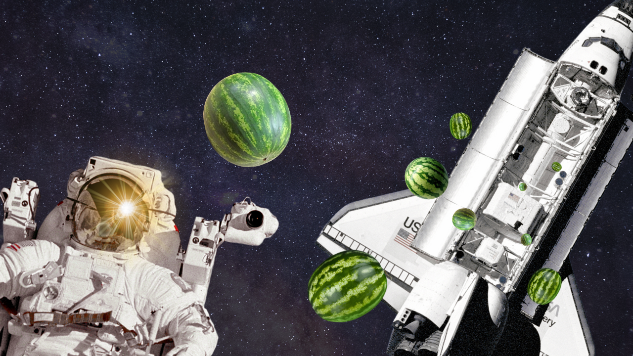 How Do Your Melons Grow? | WAG in Focus 10-01-25