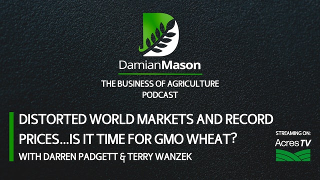 Distorted World Markets And Record Prices…Is It Time For GMO Wheat?