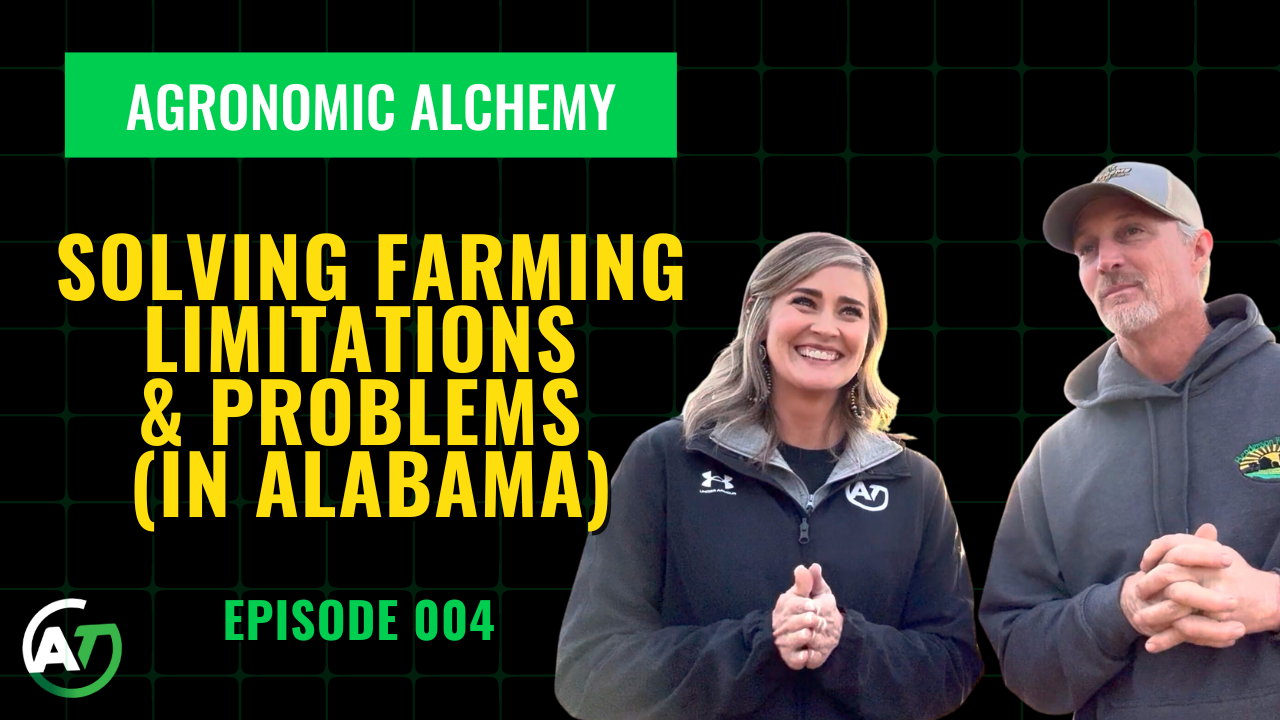 How to Solve Farming Limitations & Phosphorus Problems | AgroTech