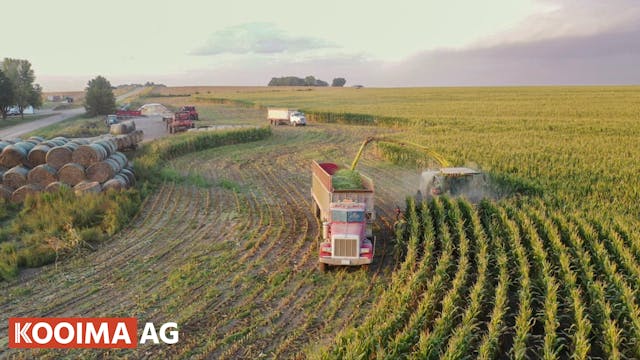 Collab® Light System - Lights on Spou...