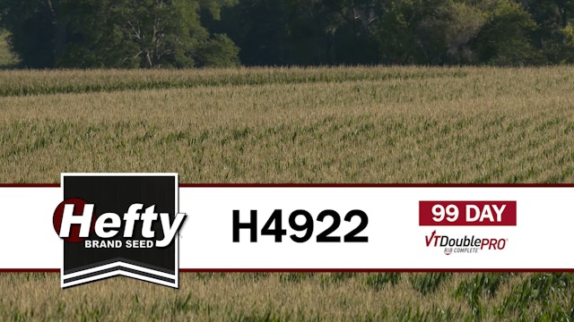 H4922 | 99-day | VT2P