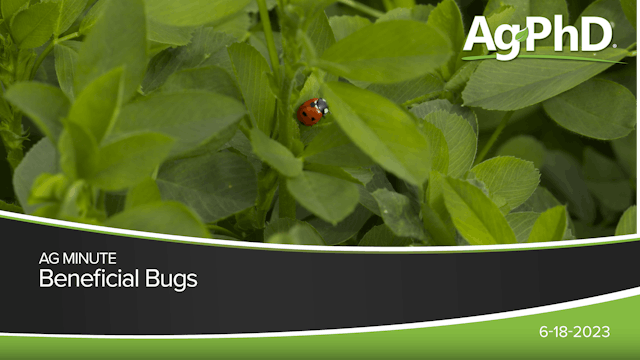 Beneficial Bugs | Ag PhD