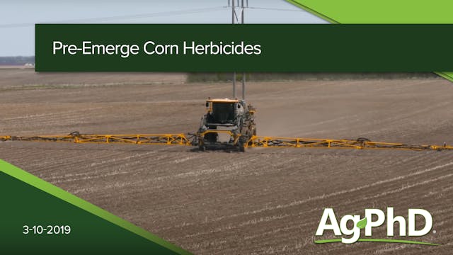 Pre-Emerge Corn Herbicides