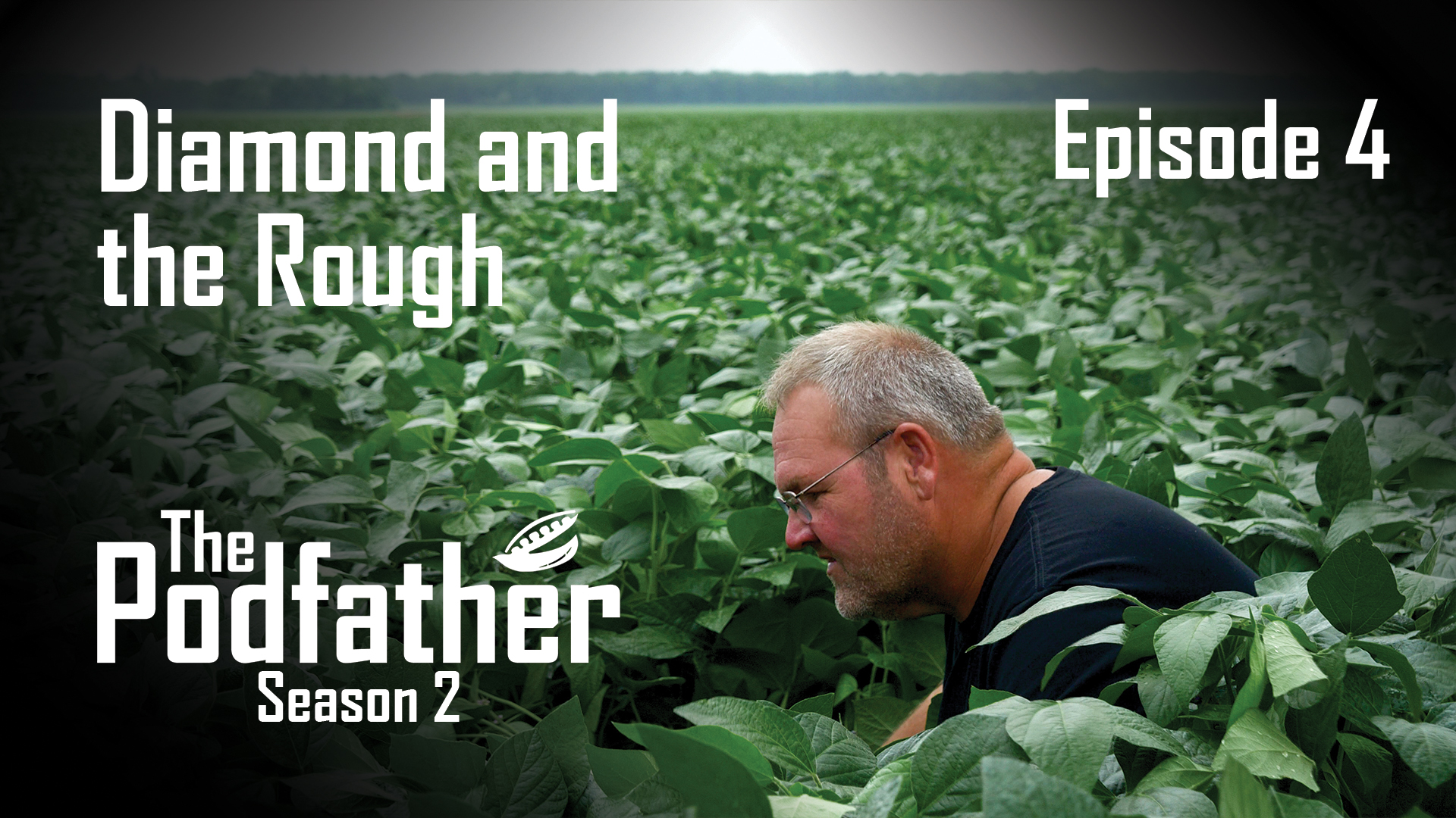 The Podfather | 204 | Diamond and the Rough